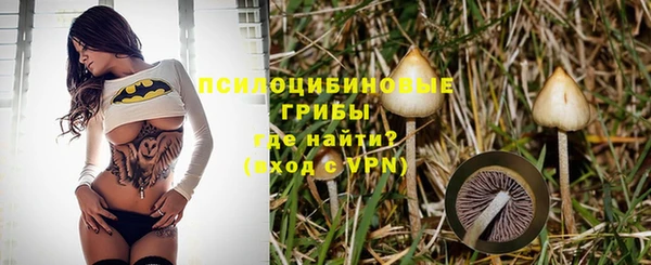 apvp Зеленодольск