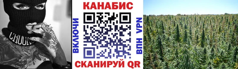 МАРИХУАНА OG Kush  Купить закладки  Всеволожск 